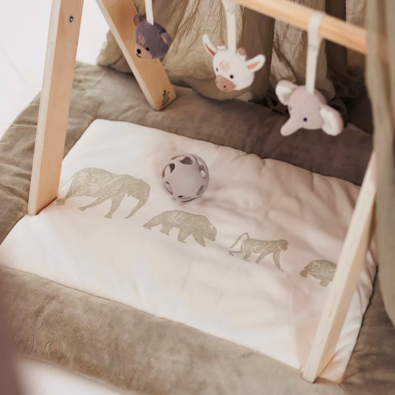 Toys for learning arch - animals 
