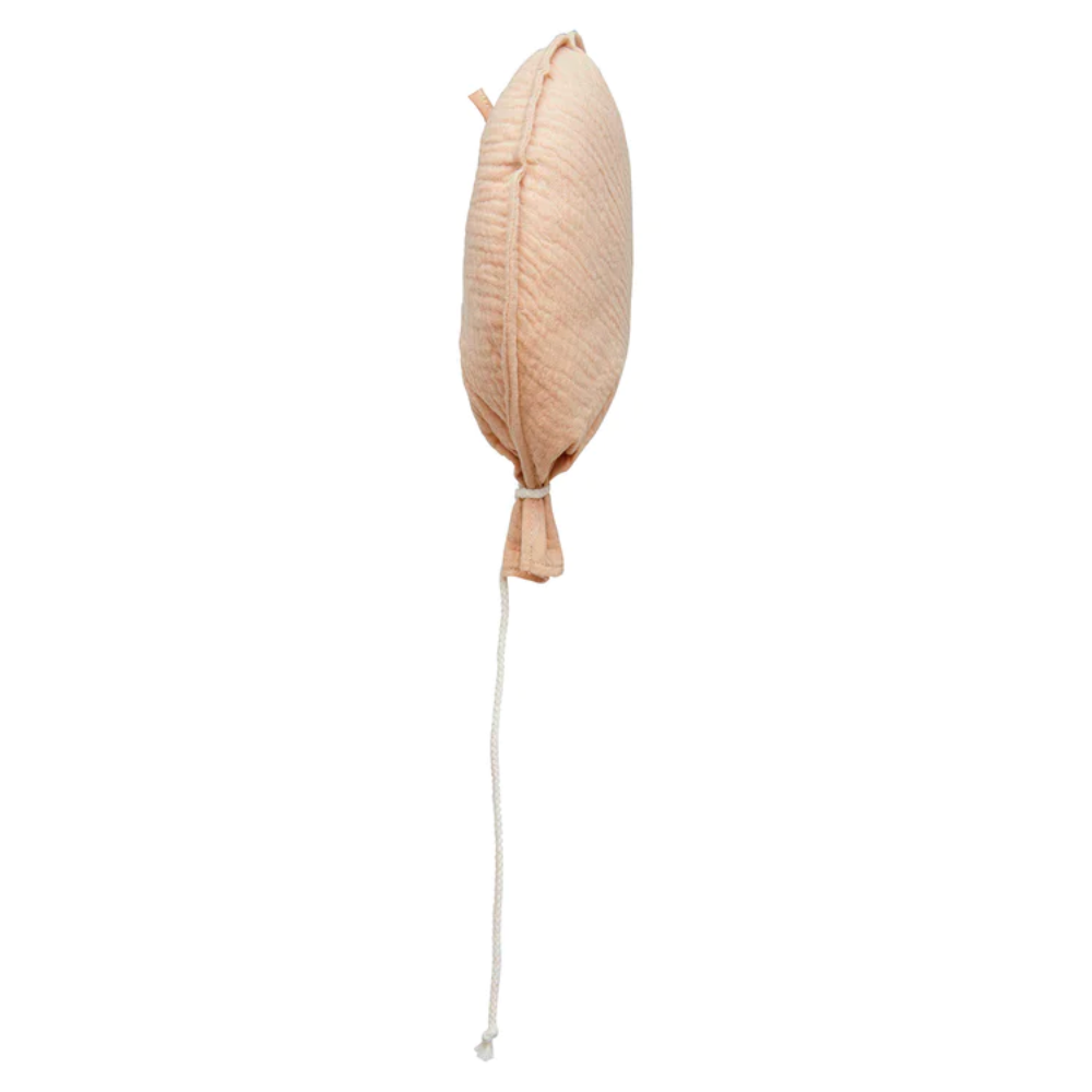 Ballon mural - Biscuit