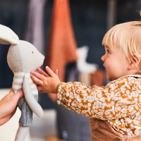 Rabbit soft toy - Joey