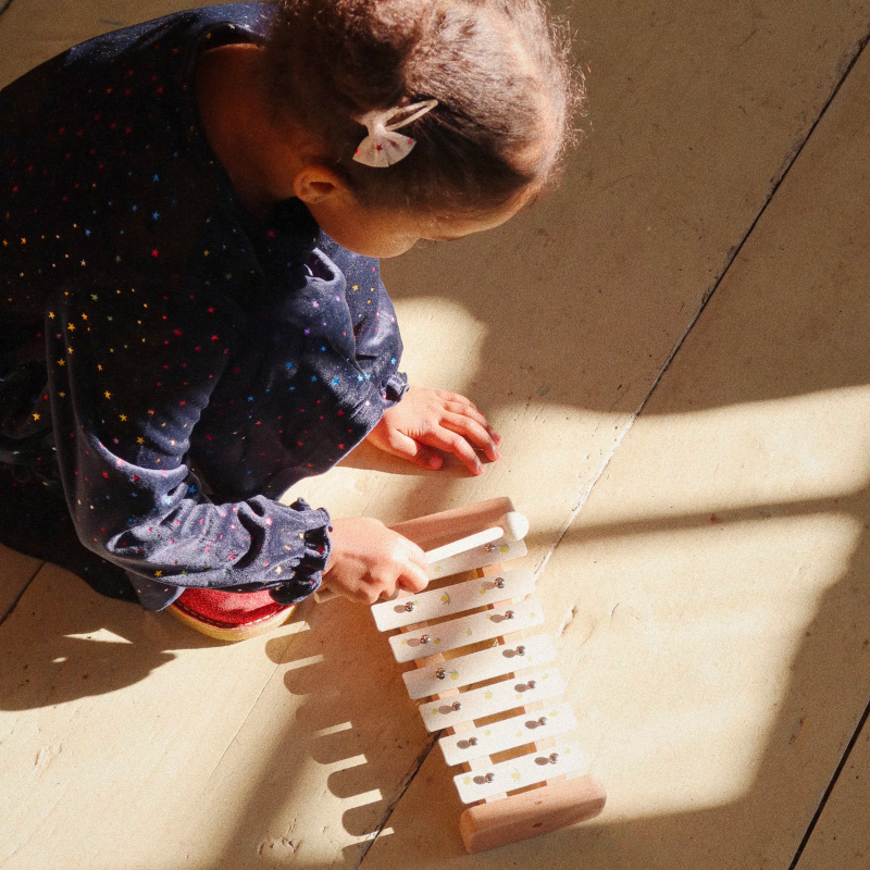 Lemon pattern xylophone 
